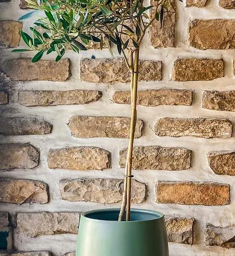 Le Pagnol - Hyper Centre - Clim كاسيس